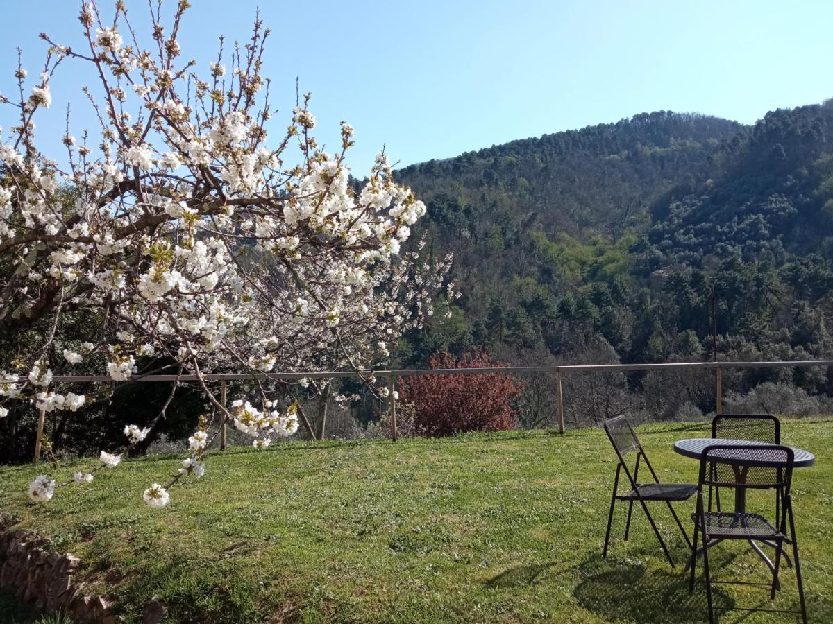 Il Silenzio Appartement Lucca Buitenkant foto
