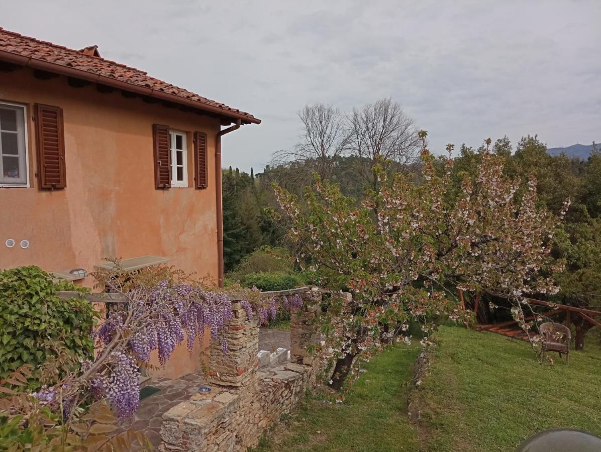 Il Silenzio Appartement Lucca Buitenkant foto