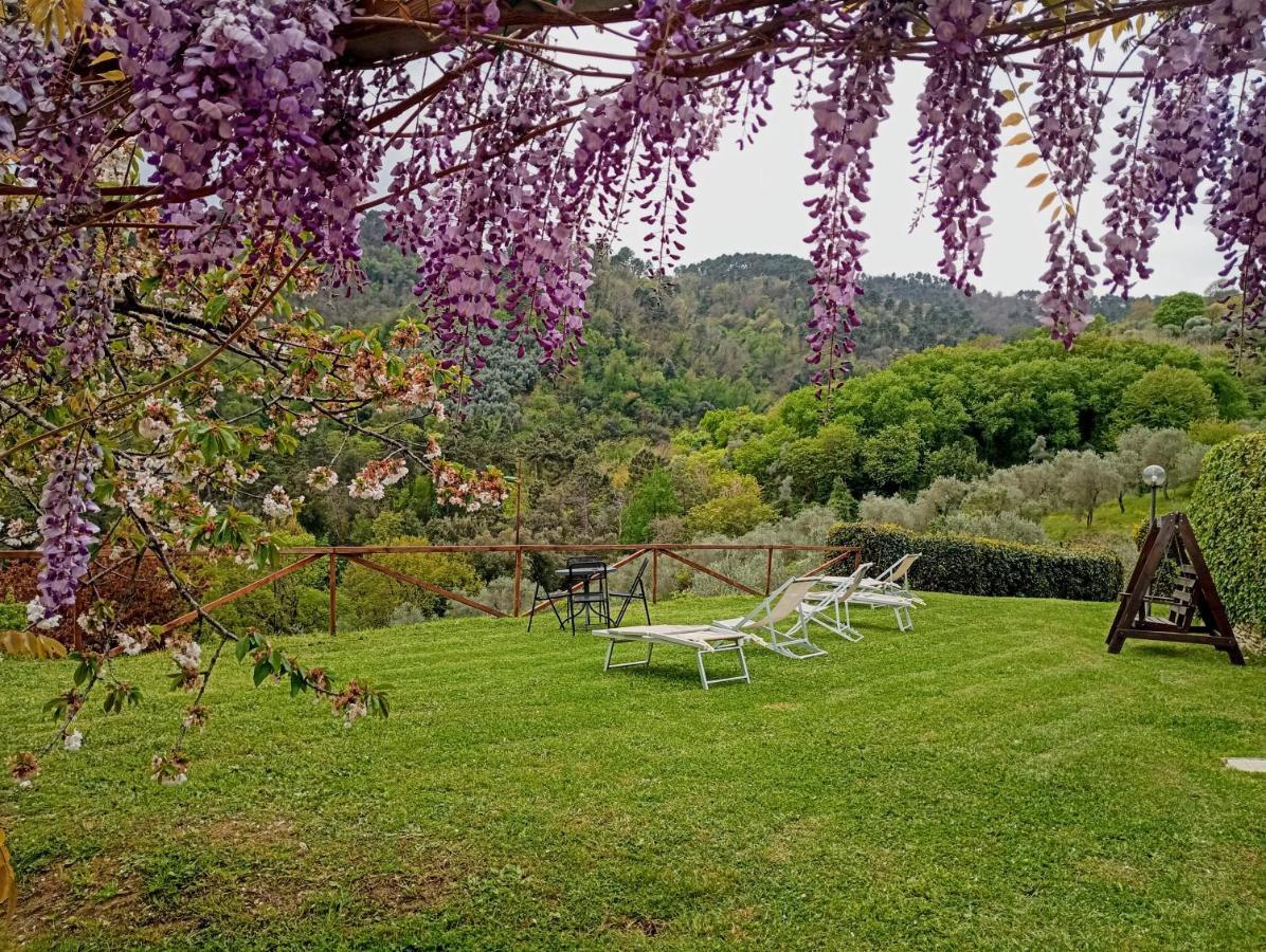 Il Silenzio Appartement Lucca Buitenkant foto