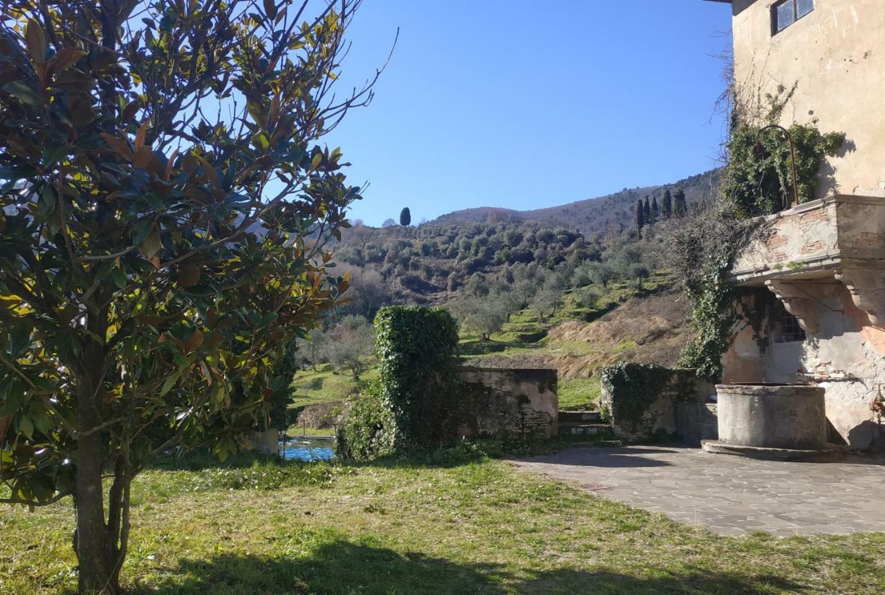 Il Silenzio Appartement Lucca Buitenkant foto