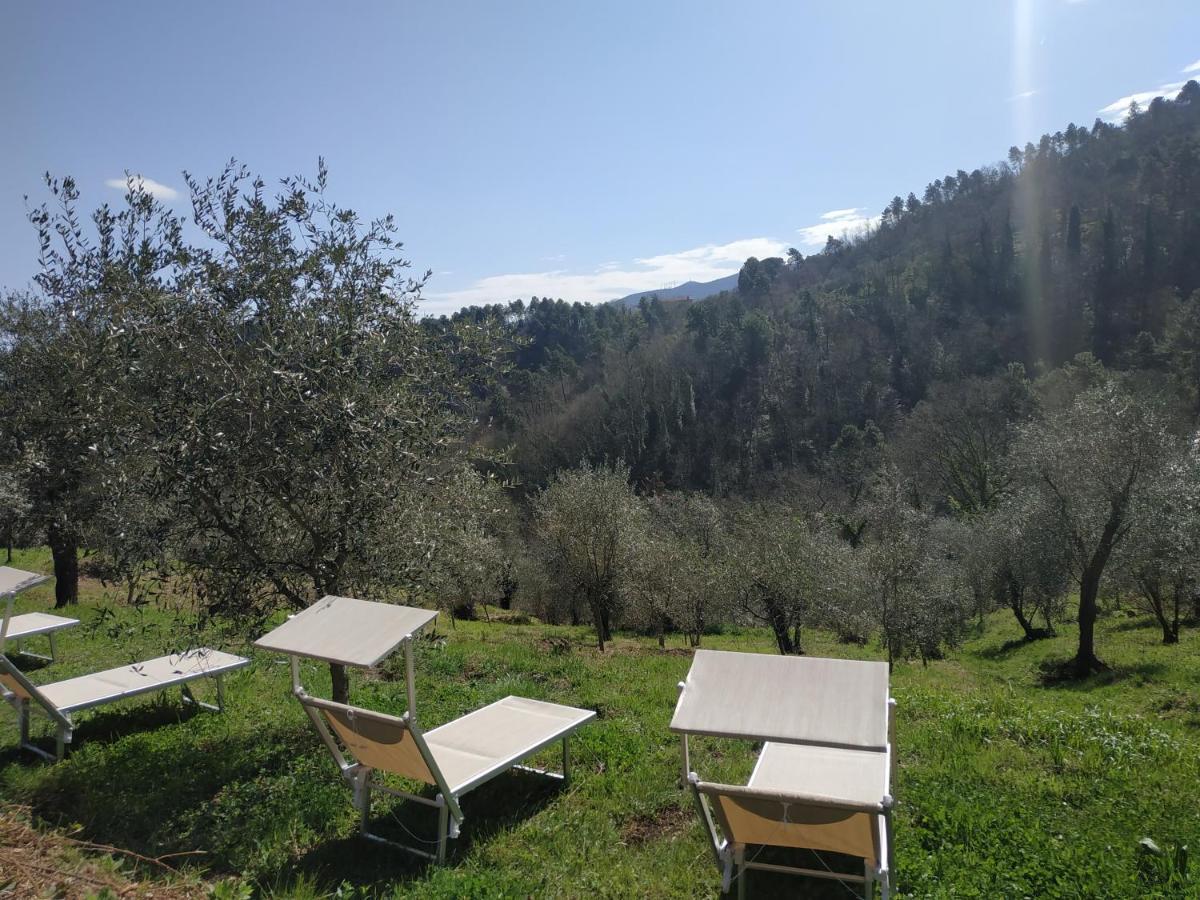 Il Silenzio Appartement Lucca Buitenkant foto